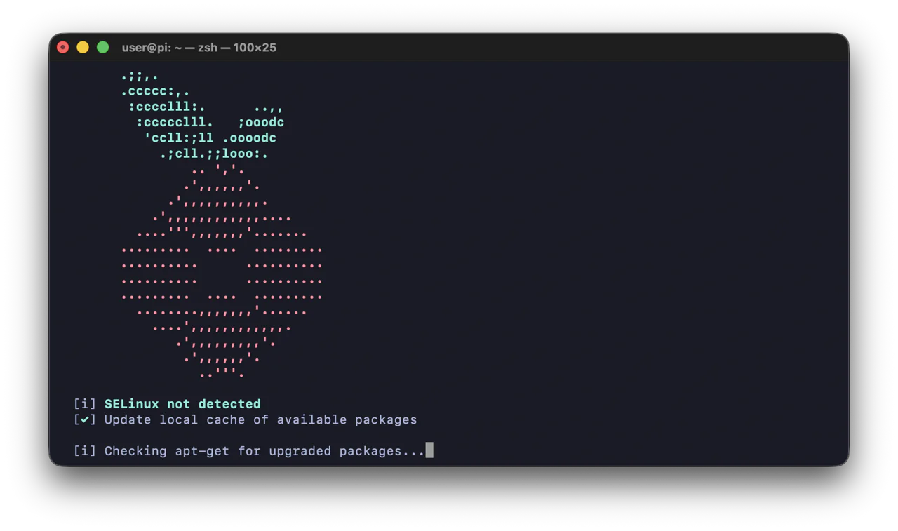 pi installer